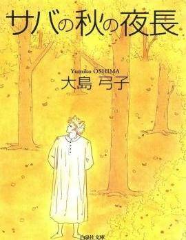 小鲭的漫漫秋夜